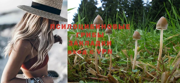 jwh Верхний Тагил