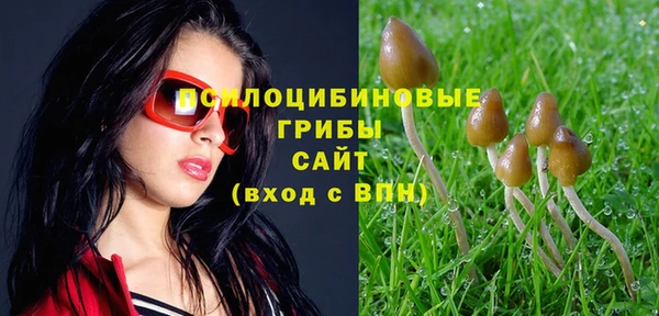 jwh Верхний Тагил